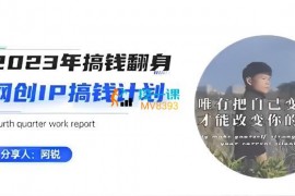 阿锐《网创IP搞钱计划》