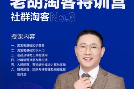 老胡《淘客特训营第三期》