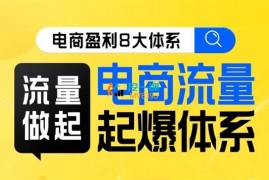 大圣《电商流量起爆体系线上课》