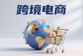 大苗《跨境小白入行全攻略》