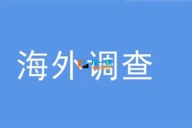 洛白《海外调查项目》