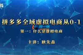 耿先森《拼多多全域虚拟电商从0到1实操课》