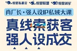 肖厂长《强人设P私域大课》