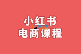 小红书电商精细化运营0-1全流程