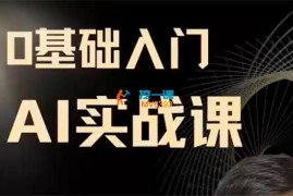 雷曼《0基础入门AI实战课》