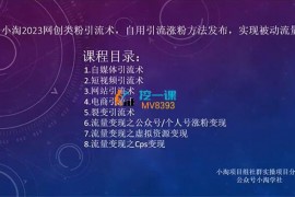 小淘《2023网创类粉引流术》