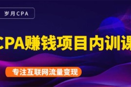 岁月《CPA赚钱项目内训课》