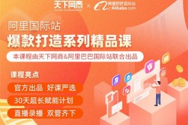 黄龙《阿里国际站爆款打造系列精品课》