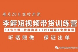 李鲆《短视频带货训练营第13期》