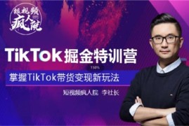 众筹：TikTok掘金特训营第四期