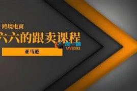 六六《亚马逊跟卖实战课》