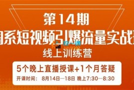 辛言《淘系短视频引爆流量实战班第14期》