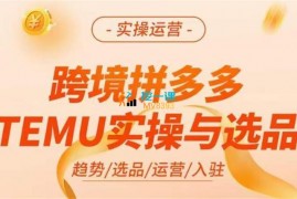 伍跃《多多temu跨境选品运营实操》