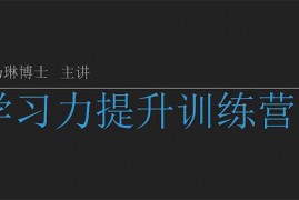 姚乃琳《学习力提升训练营》