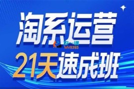 白凤电商《淘系运营21天速成班35期》