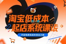 子枫《淘宝低成本起店系统课》
