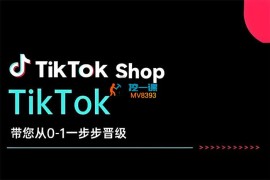 炳森跨境《TikTok Shop带您从0-1一步步晋级》