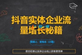 君有志《抖音实体企业流量增长秘籍》