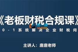 唐唐《老板财税合规课》