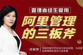 许林芳《阿里管理三板斧》