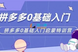 臻星电商《拼多多运营0-1实操特训营》