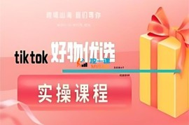 多多《TikTok好物优选实操课程》