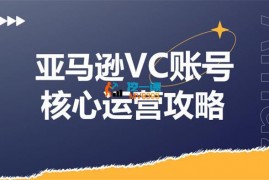 Anna《亚马逊VC账号核心玩法解析》