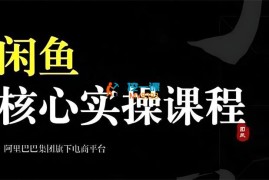 合创团队《2024闲鱼核心实操课程》