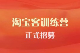 卓友会《淘宝客实战训练营》