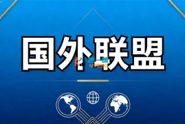 黑子《国外联盟美刀项目》