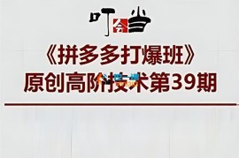 叮当会《拼多多打爆班高阶技术第39期》