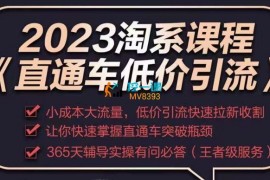 滔哥《2023直通车低价引流玩法》