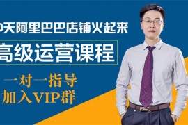 宣龙教育《阿里巴巴高级运营实操课》