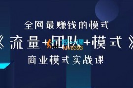 王冲《流量+团队+模式实战课》