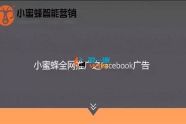 小蜜蜂《Facebook广告投放基础课》