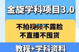 金旋《学科资料虚拟项目3.0》