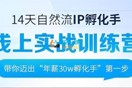 瑶瑶《14天自然流IP孵化手线上实战训练营》