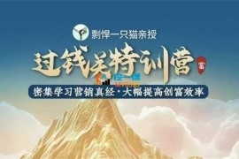 剽悍一只猫《过钱关特训营》