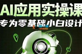 大师兄《AI应用实操课》
