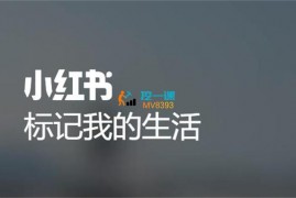 梨云《小书红商业变现营》