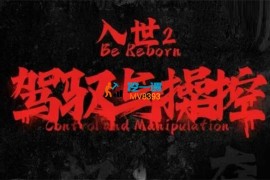 甄琦学长《入世2驾驭与控制》