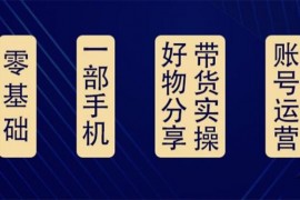 大鑫《好物分享高阶实操课》