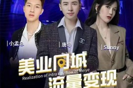 美探学院《抖音美业同城流量变现》