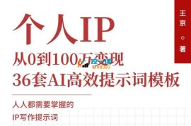 王京《36套AI高效提示词模板》