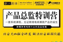 众筹：枫火跨境·产品总监特训营