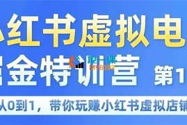 锋声《小红书虚拟掘金营》