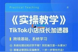 大卖家孵化中心《TikTok实操课》