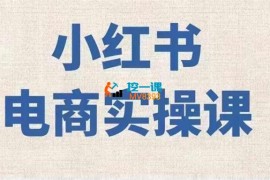 大帅电商《小红书电商实战保姆级教程》