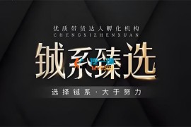 李财儿《全领域短视频带货新人启航计划》