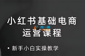 心心《小红书高级电商课程》